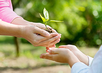 304am永利集团官网(中国)有限公司-Official Website